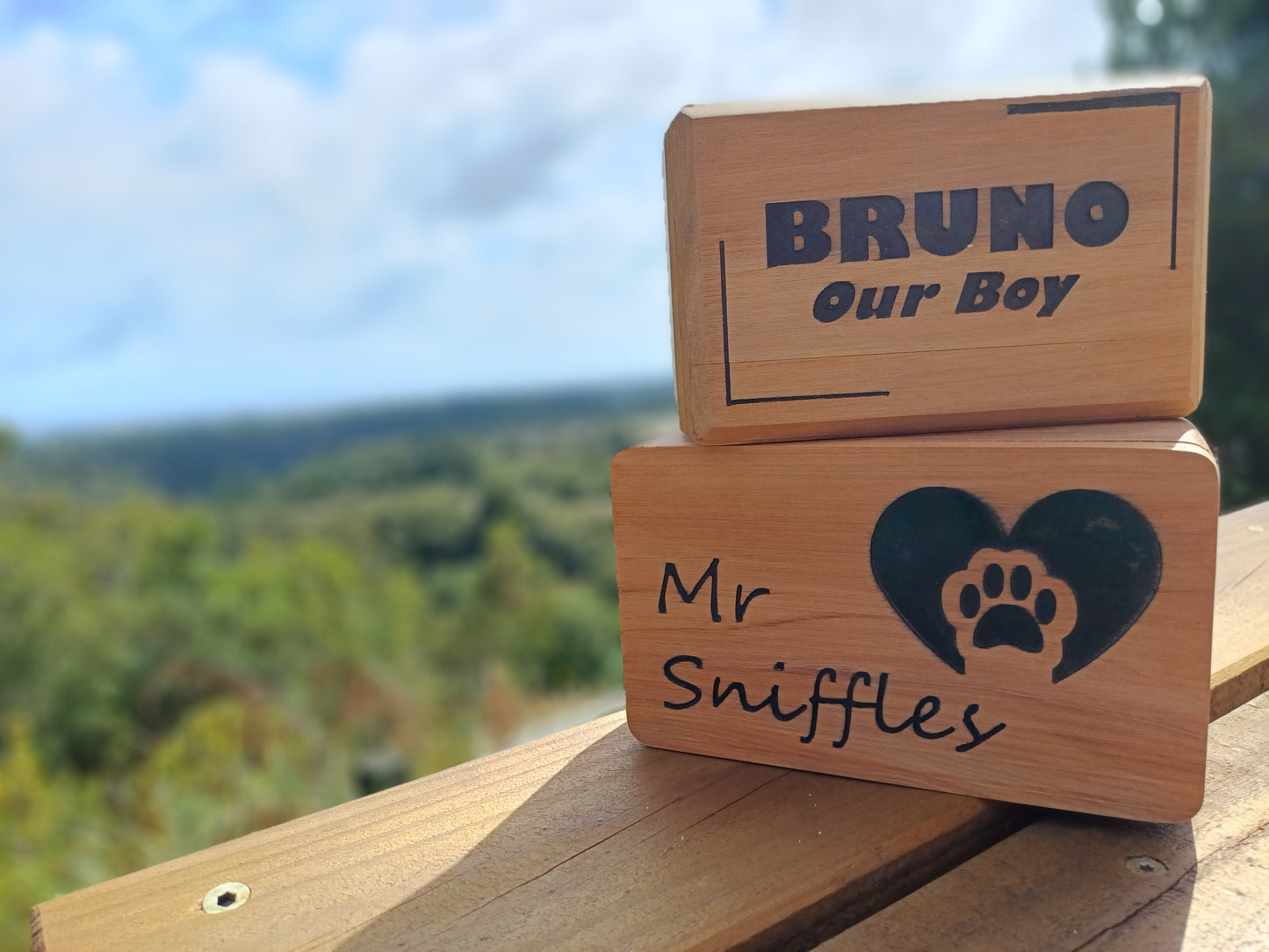 Handmade recycled timber pet urn (rectangular style)