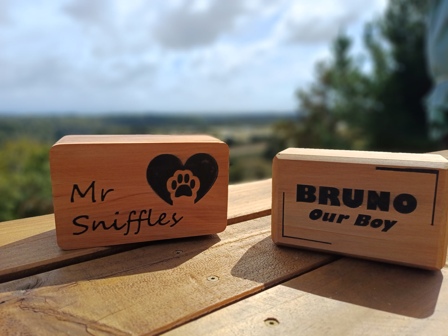 Handmade recycled timber pet urn (rounded style)