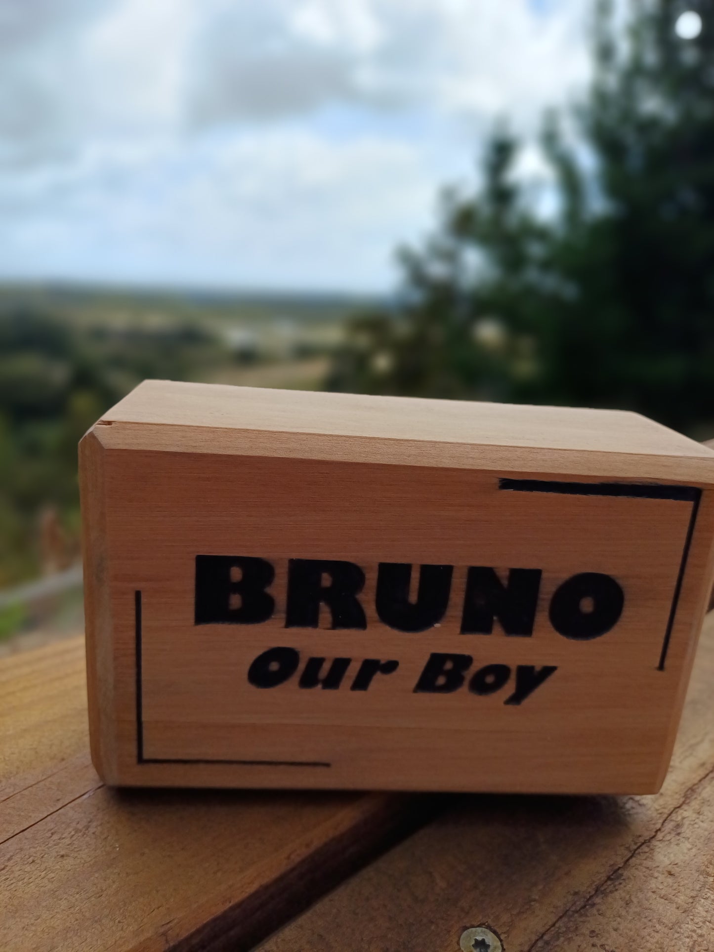 Handmade recycled timber pet urn (rectangular style)