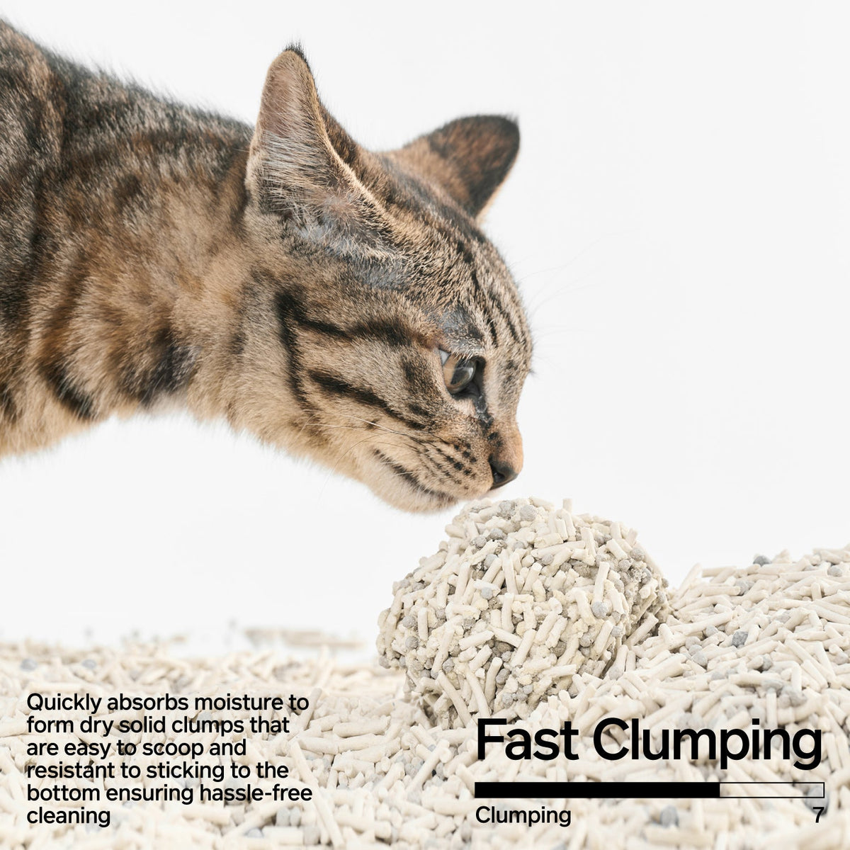 PIDAN Signature Tofu Blend Cat Litter | 4 x 2.4 kg