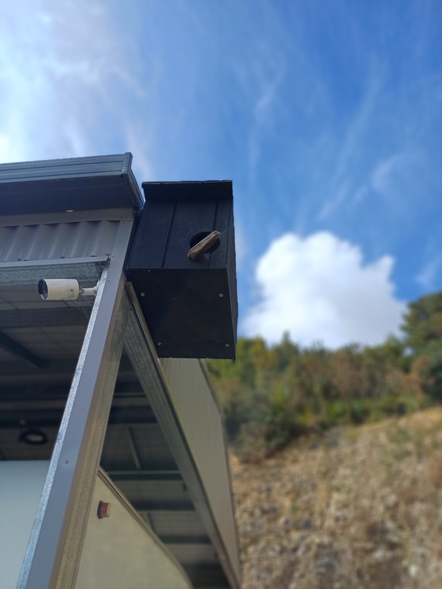 Owl Nesting Box 